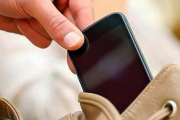 Фотография к новости: В Казахстане сократились факты краж телефонов, машин и скота