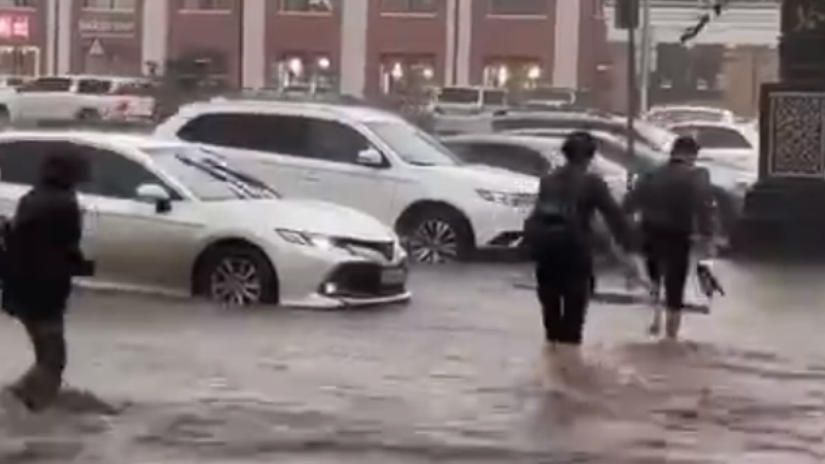  скриншот видео