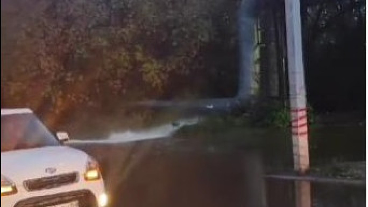  скриншот с видео