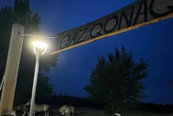 Фотография к новости: Уникальный памятник природы в Павлодаре потерял свой вид