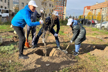 Фотография к новости: Почти 4000 зелёных насаждений высадили на субботниках в Астане