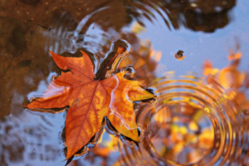 Фотография к новости: Неустойчивую погоду обещают казахстанцам в воскресенье