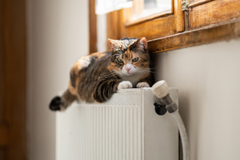 Фотография к новости: Дефицит тепла в двух регионах Казахстана прогнозирует Минэнерго