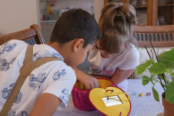 Фотография к новости: Профессиональные приёмные семьи: в мажилисе презентован законопроект по вопросам защиты прав ребёнка