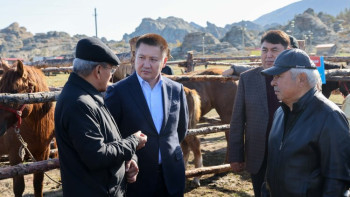 Фотография к новости: В Павлодарской области прошла международная конференция по коневодству