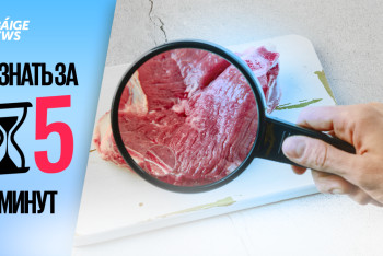 Фотография к новости: Узнать за 5 минут: как защититься от заражения сибирской язвой