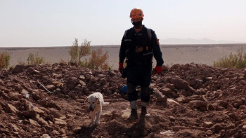 Фотография к новости: Казахстанские спасатели завершили работы в Афганистане