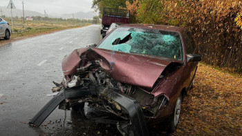 Фотография к новости: Четверо детей пострадали при столкновении легковушки с грузовиком в Жетысу