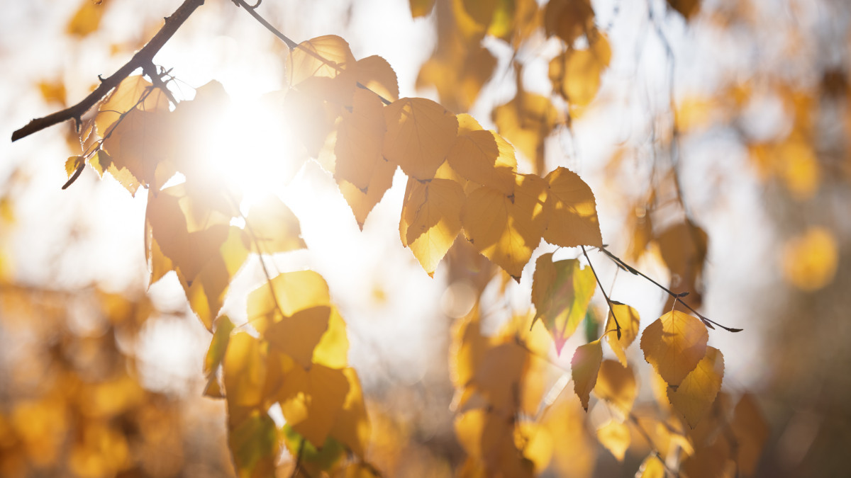  baigenews.kz/Артём Чурсинов