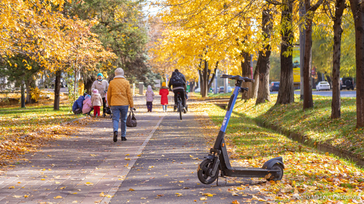  baigenews.kz/Максат Рысбеков