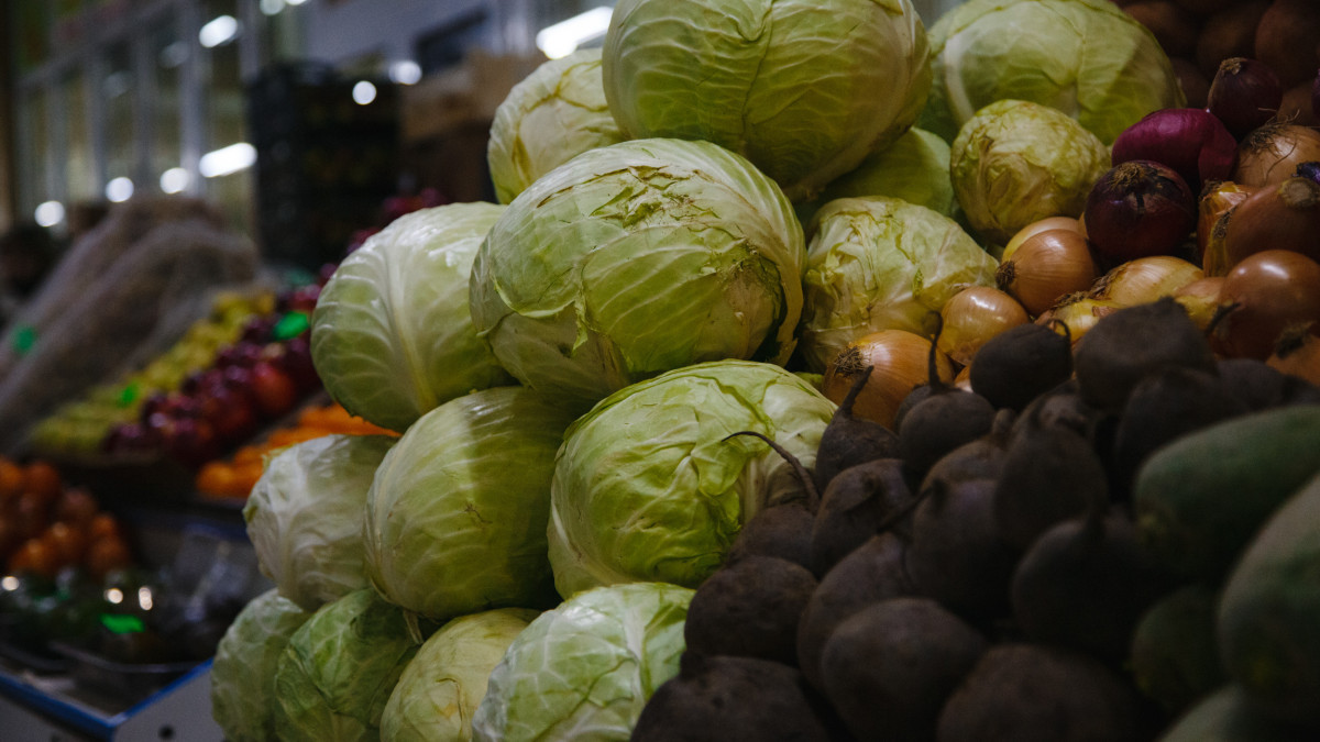  baigenews.kz/Жалгасбек Токтамысов