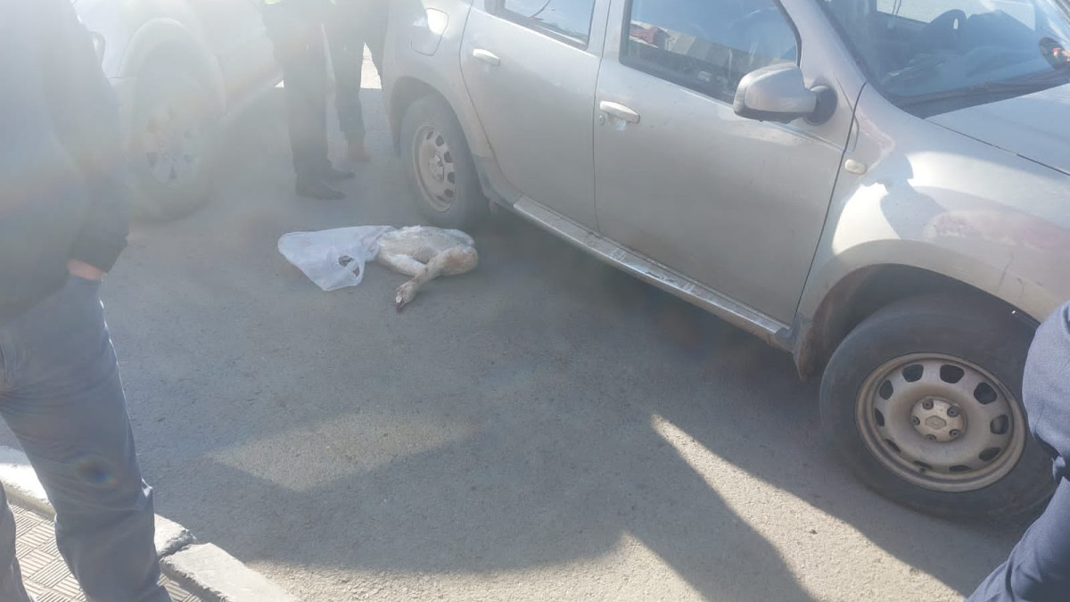  Департамент полиции  Карагандинской области