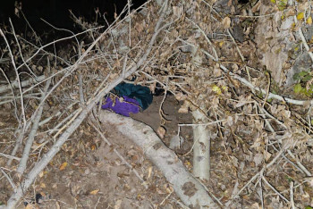 Фотография к новости: Устроили переполох: двое детей построили шалаш и переночевали в лесу в области Абай