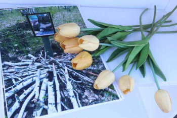 Фотография к новости: Крематорий для кошек и собак открыли в Костанае