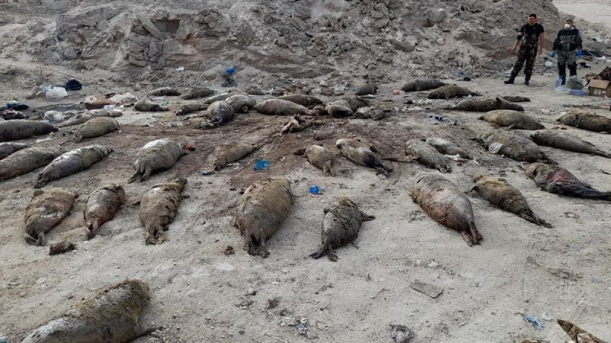  Институт гидробиологии и экологии