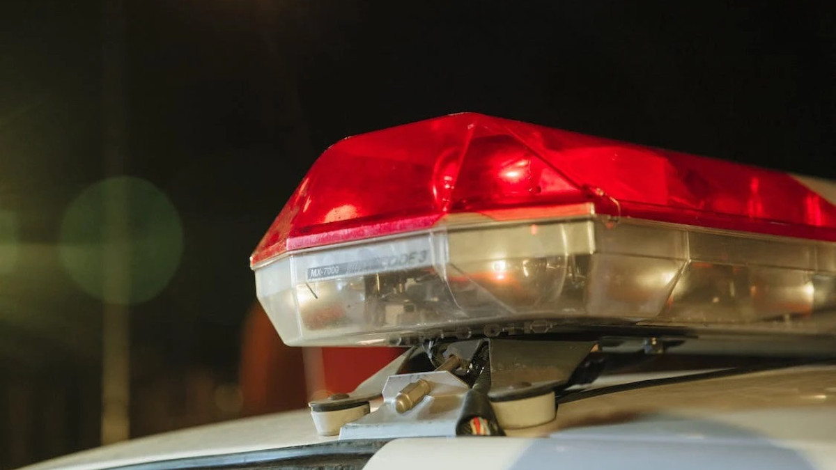  pexels.com / иллюстративное