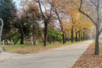 Фотография к новости: Парки шаговой доступности развивают в Алматы