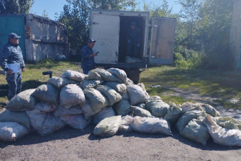 Фотография к новости: Более тонны контрабандных раков нашли у сельчанина в ВКО