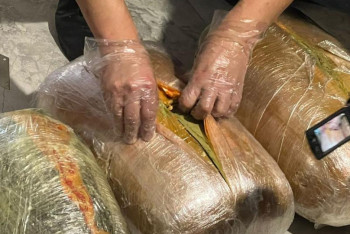 Фотография к новости: КНБ пресёк 70 фактов ввоза наркотических средств в Казахстан за месяц