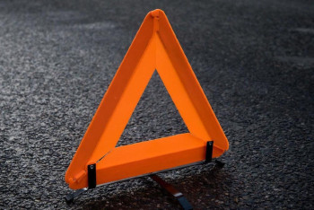 Фотография к новости: "Беги или умри": игру прокомментировали в МВД