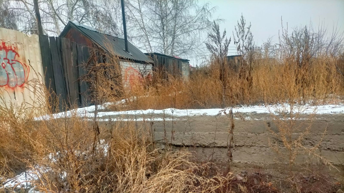  Катерина Приходько