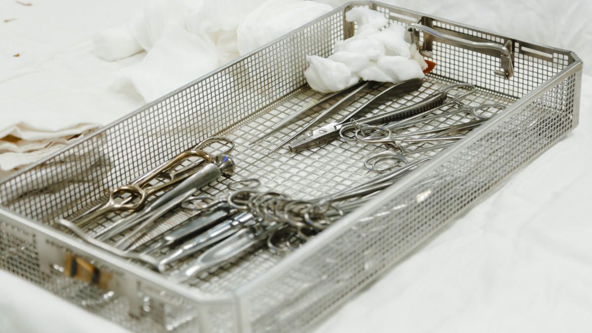  baigenews.kz/Жалгасбек Токтамысов