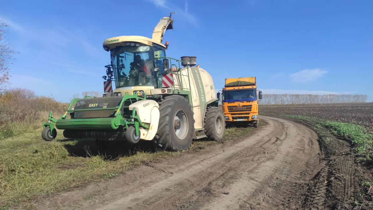  Ольга Сизова/dknews.kz