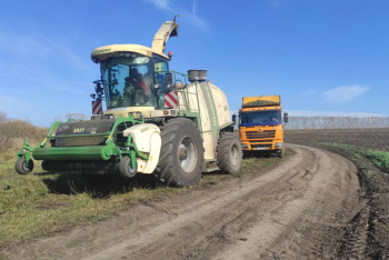 Фотография к новости: Почему численность сельского населения падает в Казахстане