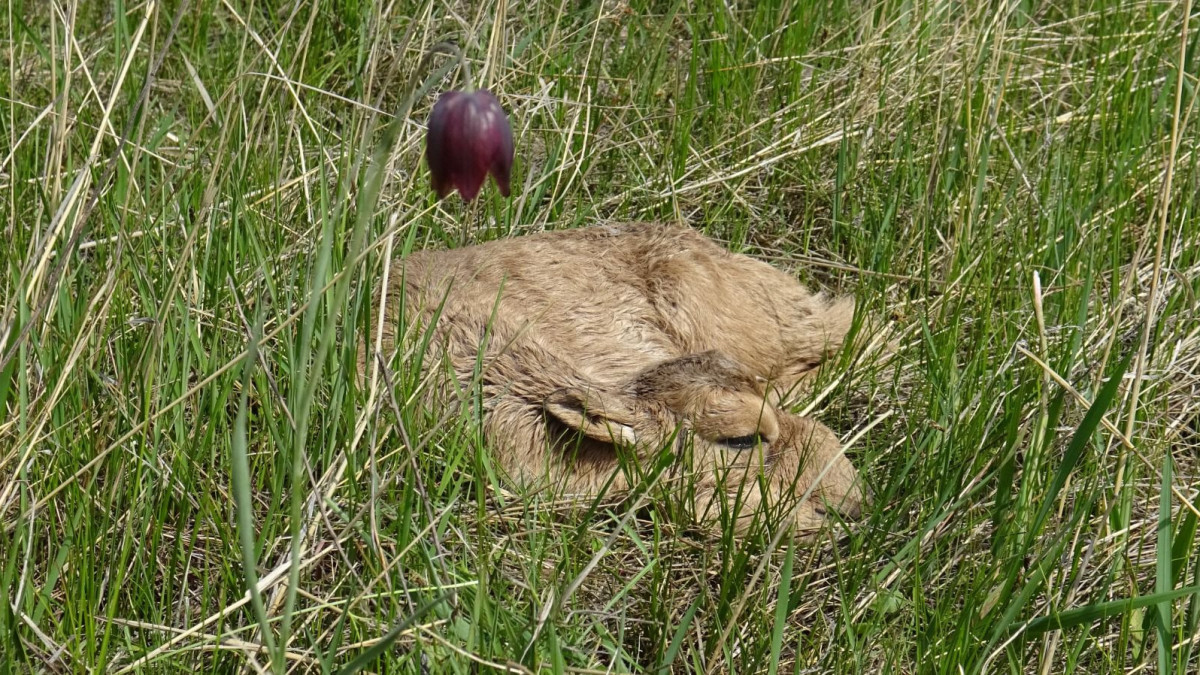  архив Б.Сарсеновой