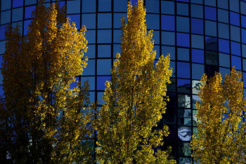 Фотография к новости: В каких городах Казахстана ожидается загрязнение воздуха