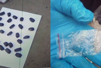 Фотография к новости: 25 свёртков с "синтетикой" изъяли полицейские из нижнего белья павлодарки