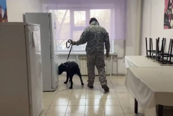 Фотография к новости: Полицейские с собаками искали наркотики в студенческом общежитии в Кокшетау