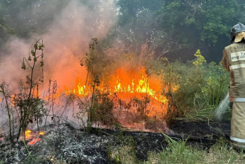 Фотография к новости: Министр экологии назвал причину частых лесных пожаров в Абайской области