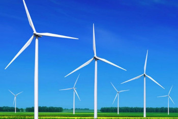 Фотография к новости: В Жамбылской области реализуется 20 инвестпроектов