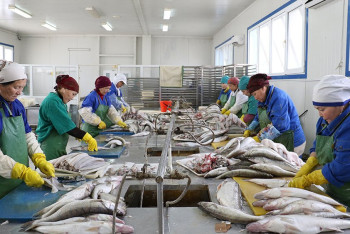 Фотография к новости: В два раза увеличилось количество рыбных хозяйств в Казахстане за три года