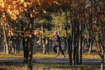 Фотография к новости: Какой будет погода в выходные в Казахстане