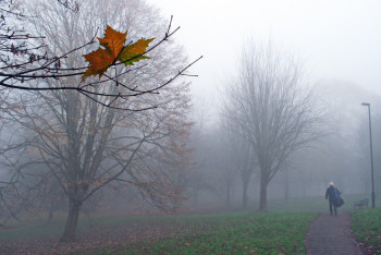 Фотография к новости: В Алматы и Атырау снова ожидается ухудшение качества воздуха