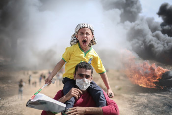 Фотография к новости: За месяц операции Цахал в Газе погибло более 11 тысяч человек