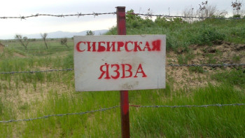 Фотография к новости: Пастбища и дома обнаружили близ сибиреязвенных захоронений в ВКО