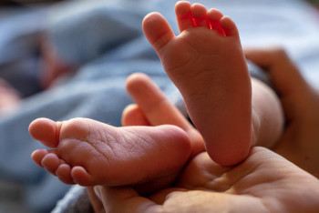 Фотография к новости: В каких областях родились 20-миллионные жители Казахстана