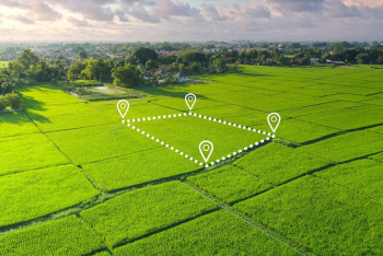 Фотография к новости: Ещё два года не будут требовать электронные карты полей у казахстанских аграриев