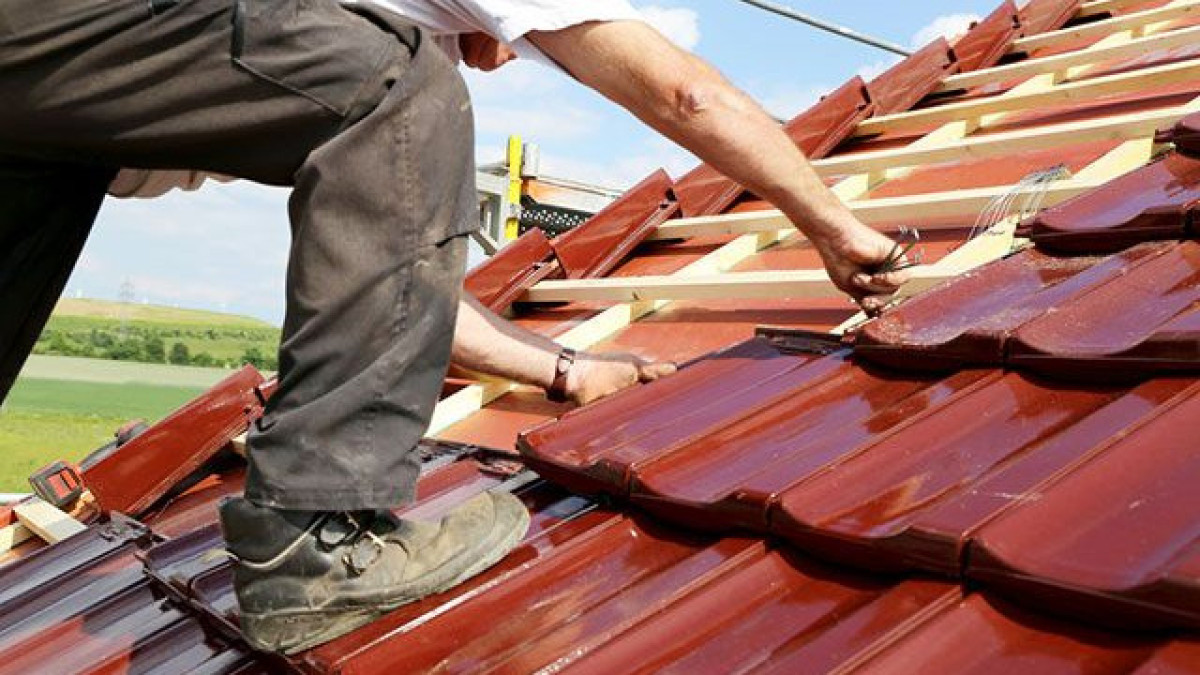  Kenny10 / Shutterstock.com