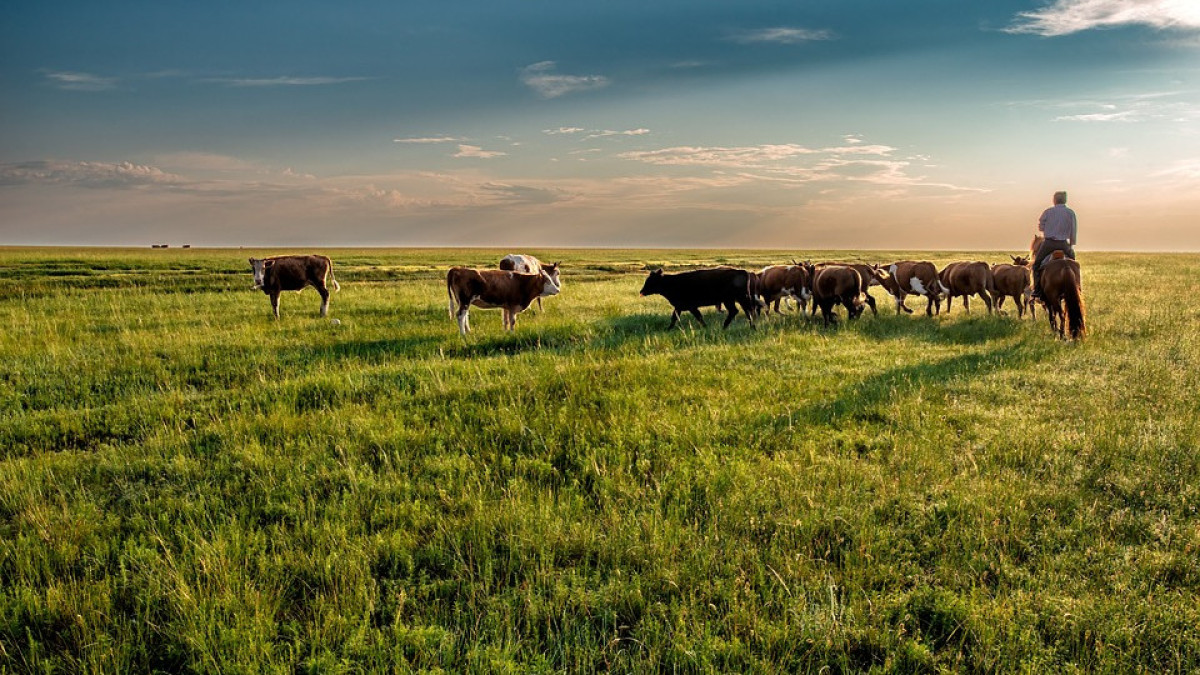  Kanenori/pixabay.com