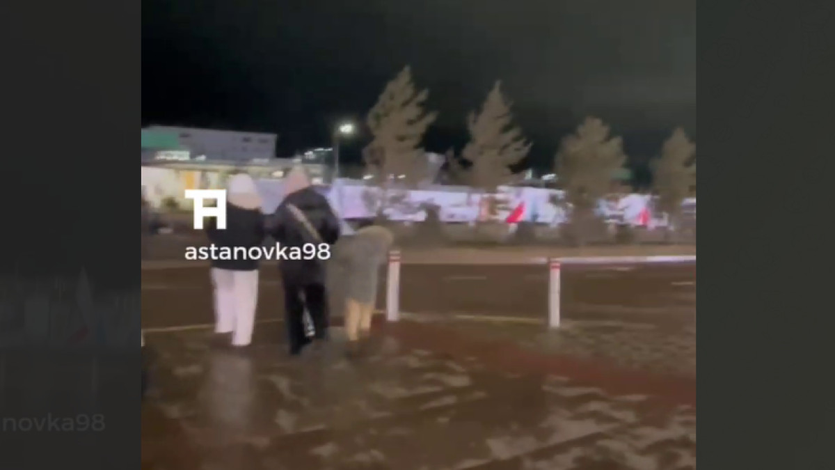  скриншот с видео