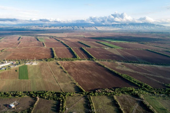 Фотография к новости: Фермеры получили отсрочку по электронным картам полей