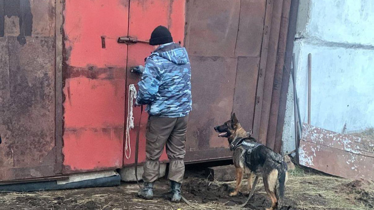  ДЧС Павлодарской области