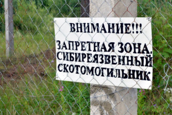 Фотография к новости: Долговечные микробы: где находятся сибиреязвенные скотомогильники в Казахстане