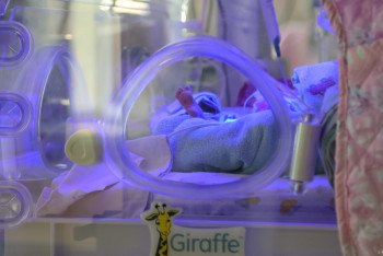 Фотография к новости: Партнёрские роды запретили в СКО