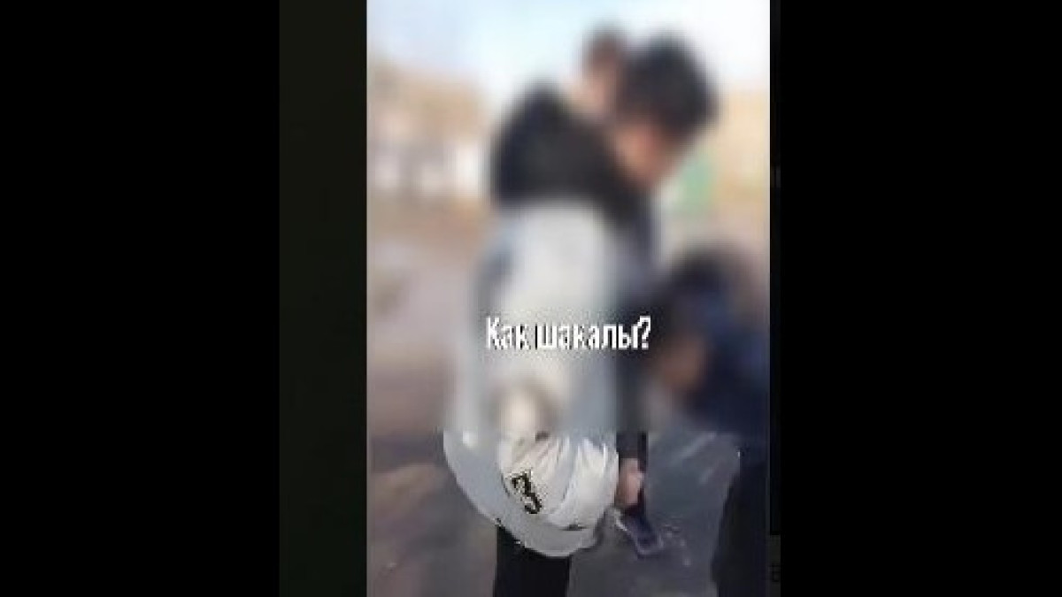  скриншот с видео/tipavlo/Telegram