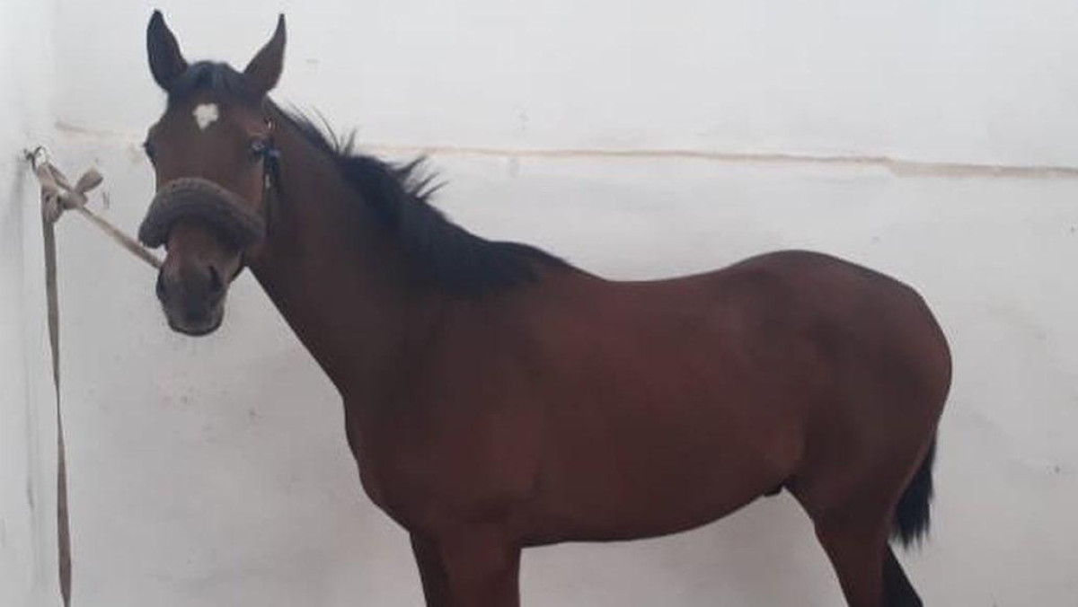  ДП Карагандинской области